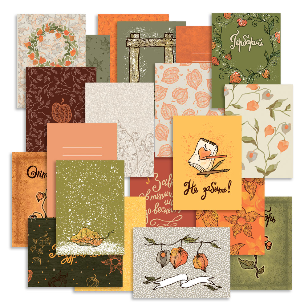 Набор карточек MrPainter "Физалис"