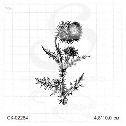 Штамп Stylish Stamps "Чертополох гигант"