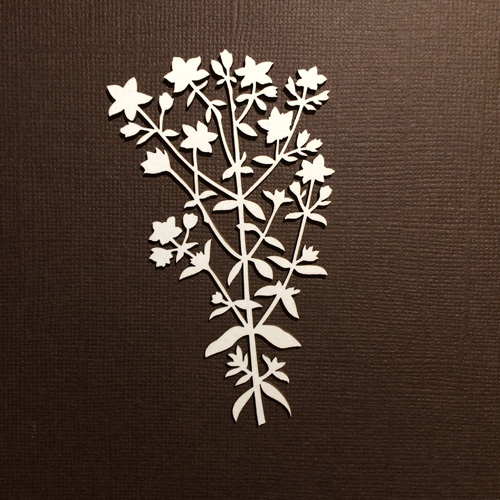 Чипборд "Зверобой"