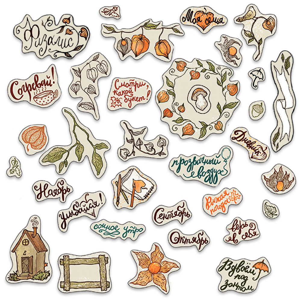 Набор вырубных элементов из картона MrPainter "Физалис"