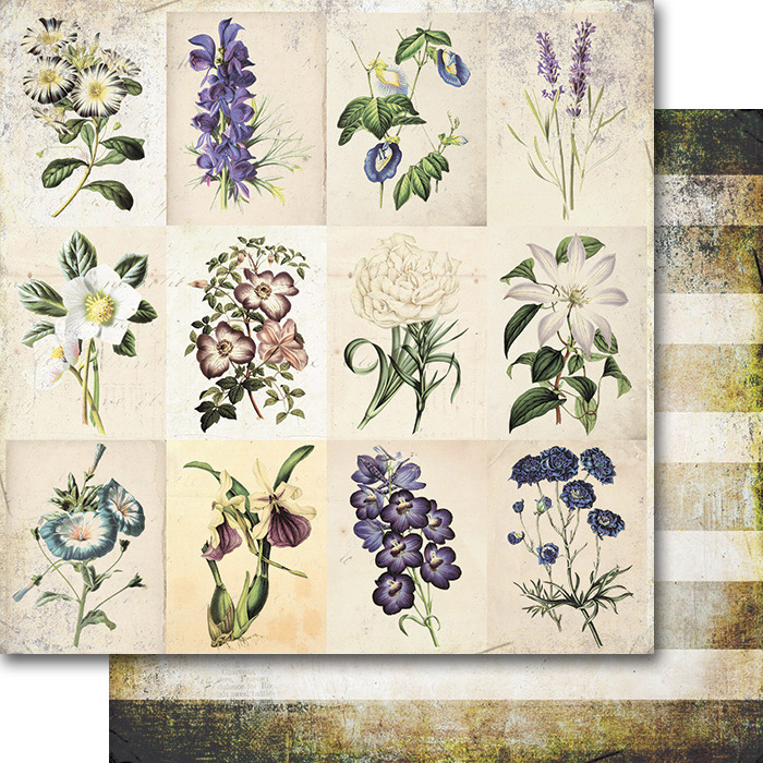 Бумага 7 DOTS STUDIO "Garden Party" Dreamy (7DOTS-24)