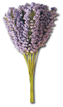 Букетик Stamperia "Лаванда"