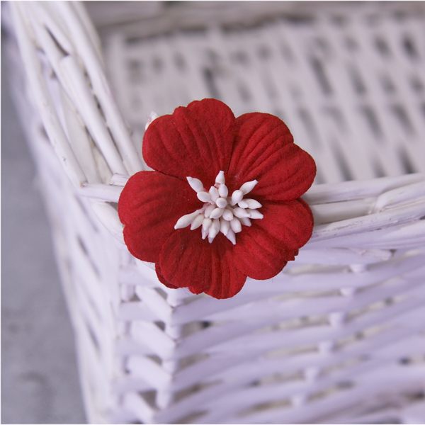 Цветок примулы, цвет красный