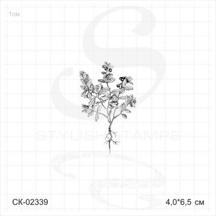 Штамп Stylish Stamps "Черника с корнем мал"