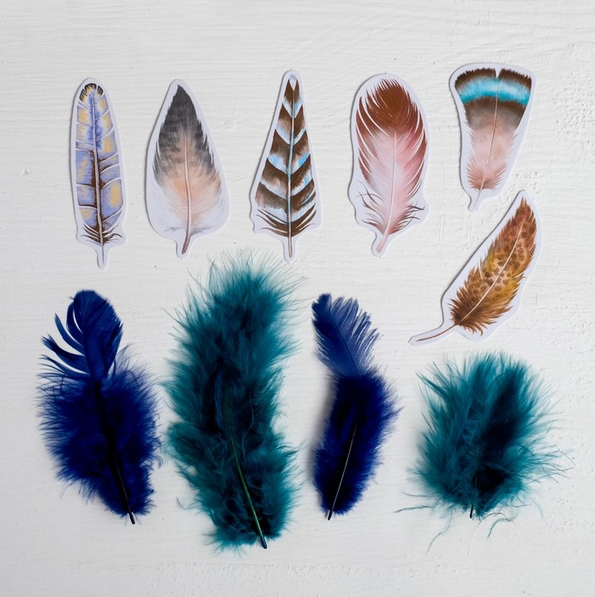 Набор пёрышек Артузор "Интересные штучки"