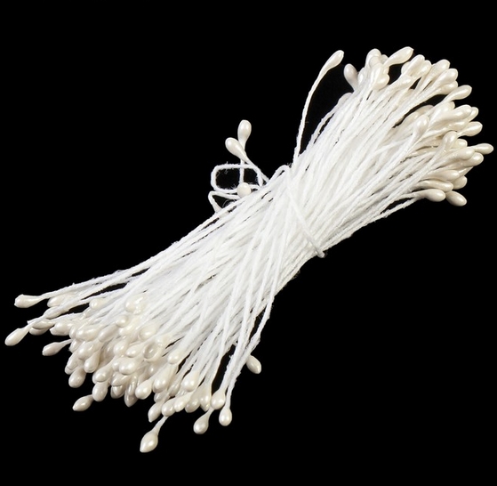 Тычинки цвет белый