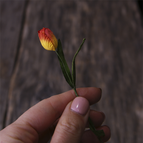 Тюльпан на стебельке, цвет красно-жёлтый
