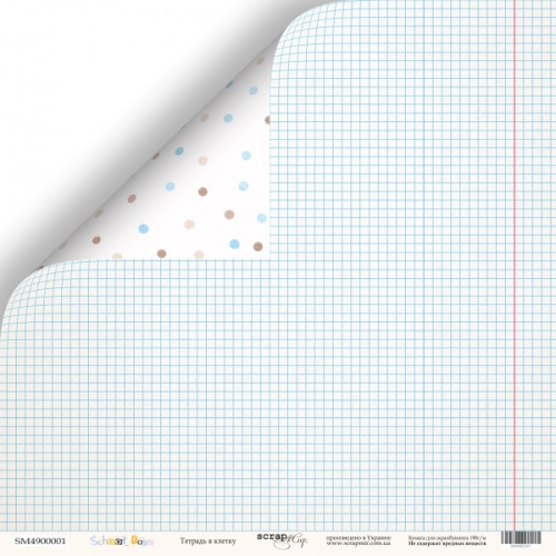 Бумага Scrapмир "School Days", Тетрадь в клетку (SM408)