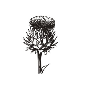 Штамп Stylish Stamps "Цветок чертополоха"