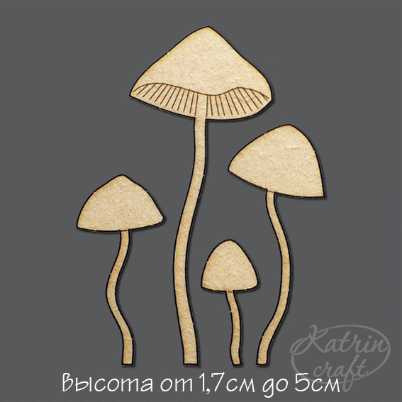 Чипборд "Опята ложные от 1,7см до 5см"