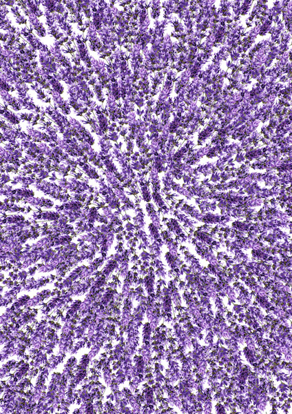 Оверлей (тонкий прозрачный пластик) Фабрика Декору «Lavender Provence», А4