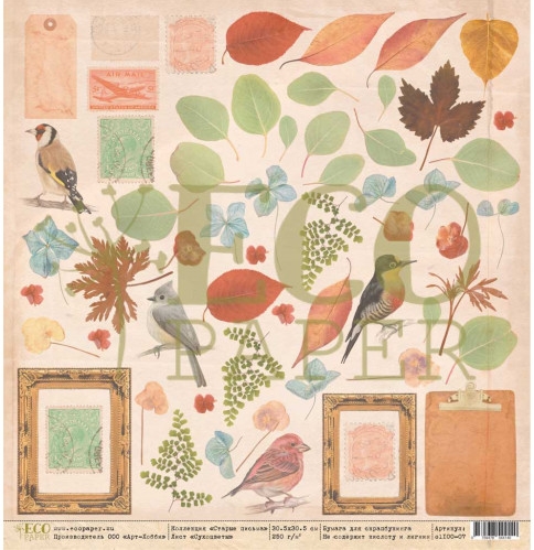 Бумага для скрапбукинга Eco paper "Старые письма" Сухоцветы (ECO84)