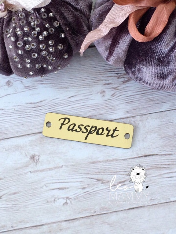 Декор из акрила "Рамочка "Passport", цвет золотой