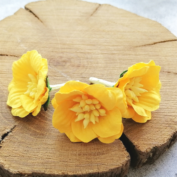 Цветок сенполии жёлтый