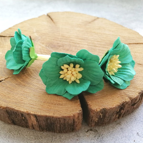 Цветок сенполии яркий бирюзовый