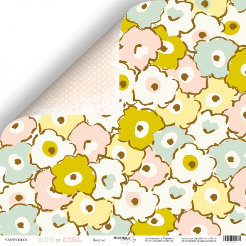 Бумага Scrapмир "Boy or Girl", Веселье (SM472)