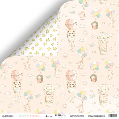 Бумага Scrapмир "Boy or Girl", Девочка (SM476)