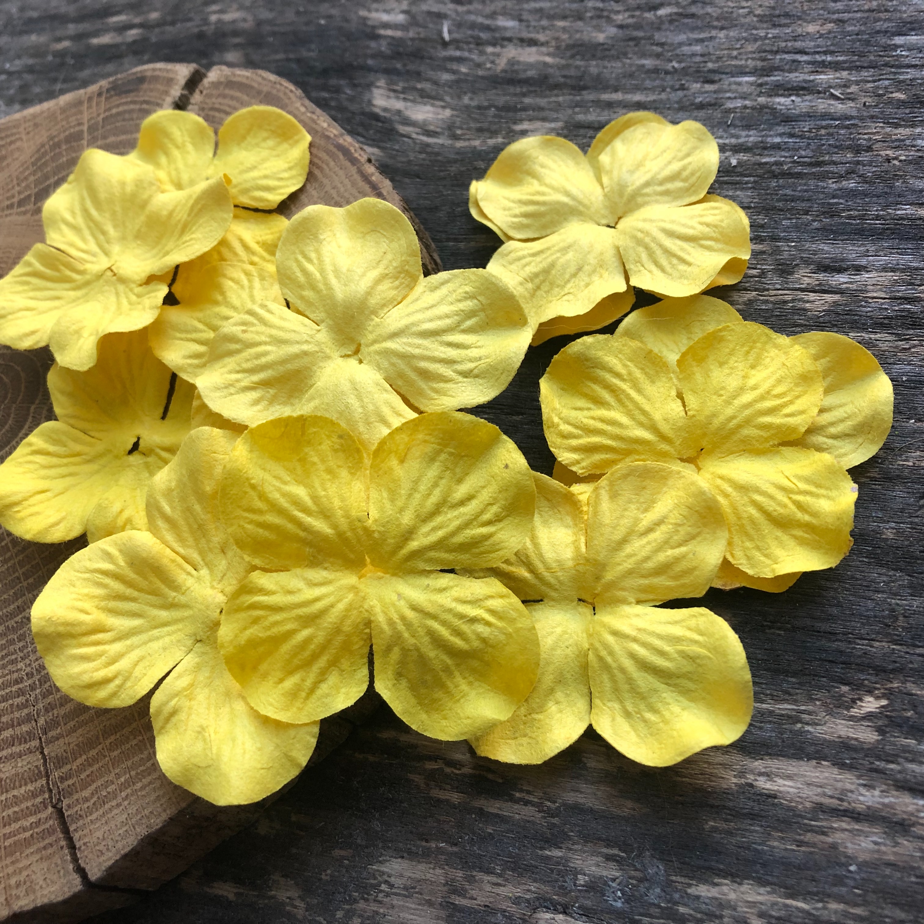 Гортензия 4 см, цвет желтый