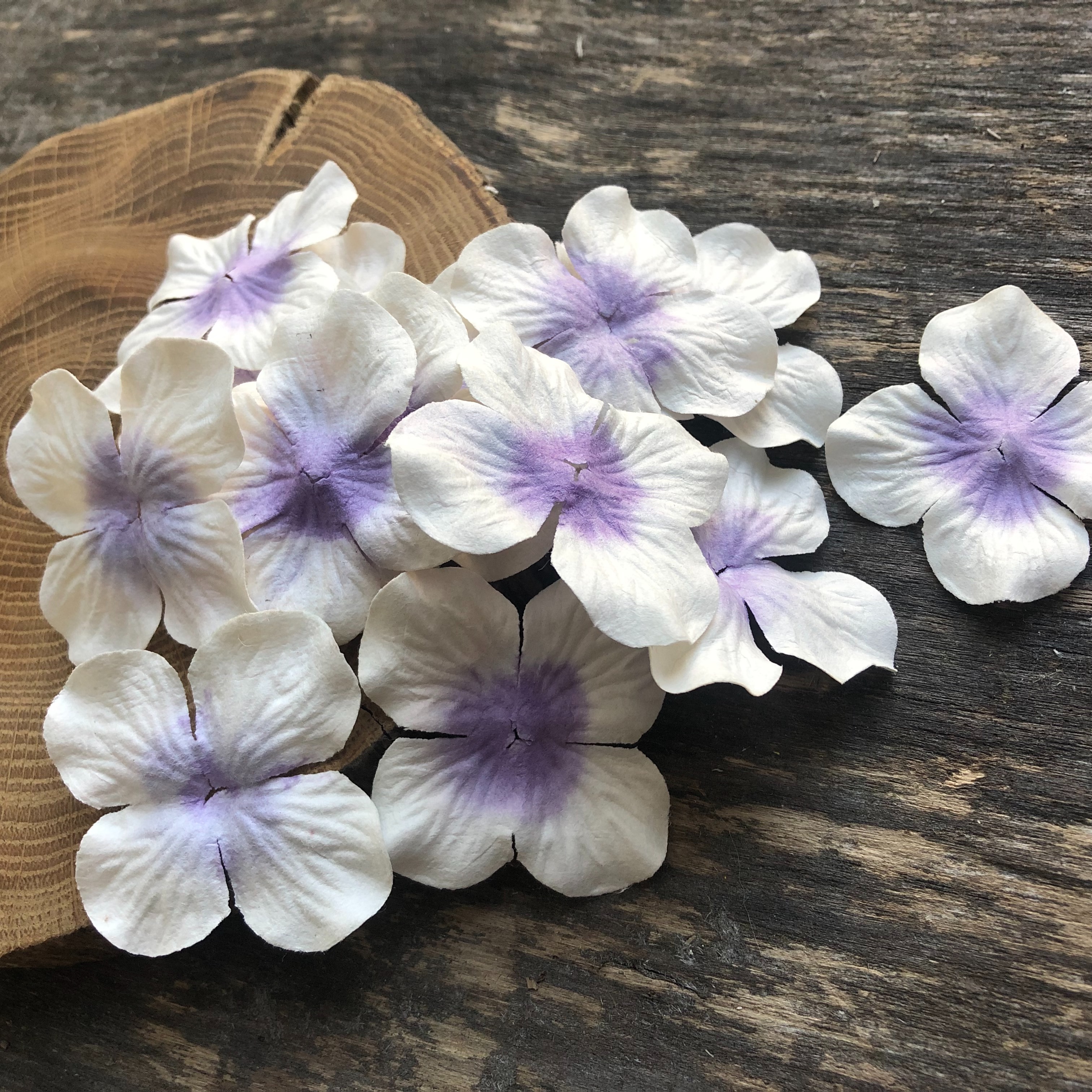 Гортензия 4 см, цвет белый с фиолетовой серединкой