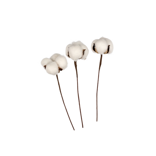 Веточка хлопка, 3шт.