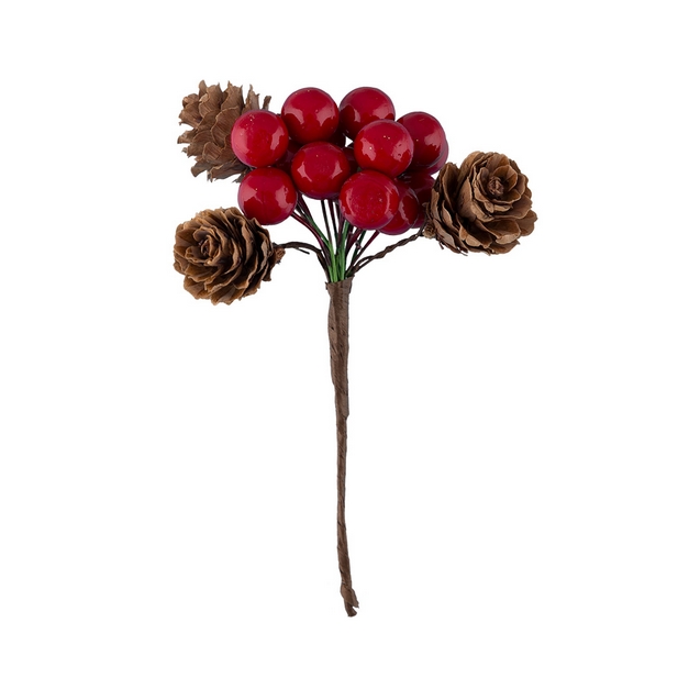 Веточка с ягодками и шишками