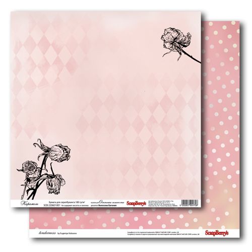 Двусторонняя бумага Scrapberrys " Карамель "(SB69)