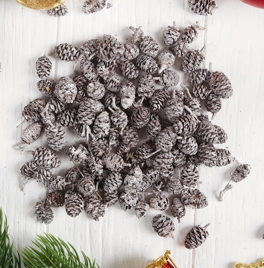 Набор природного декора "Шишечки в инее"