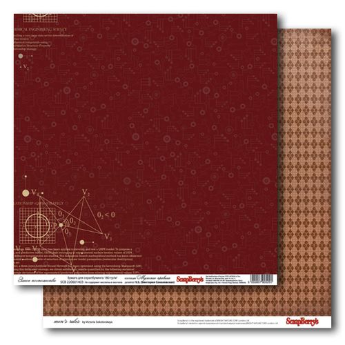 Двусторонняя бумага Scrapberrys " Закон постоянства"(SB96)