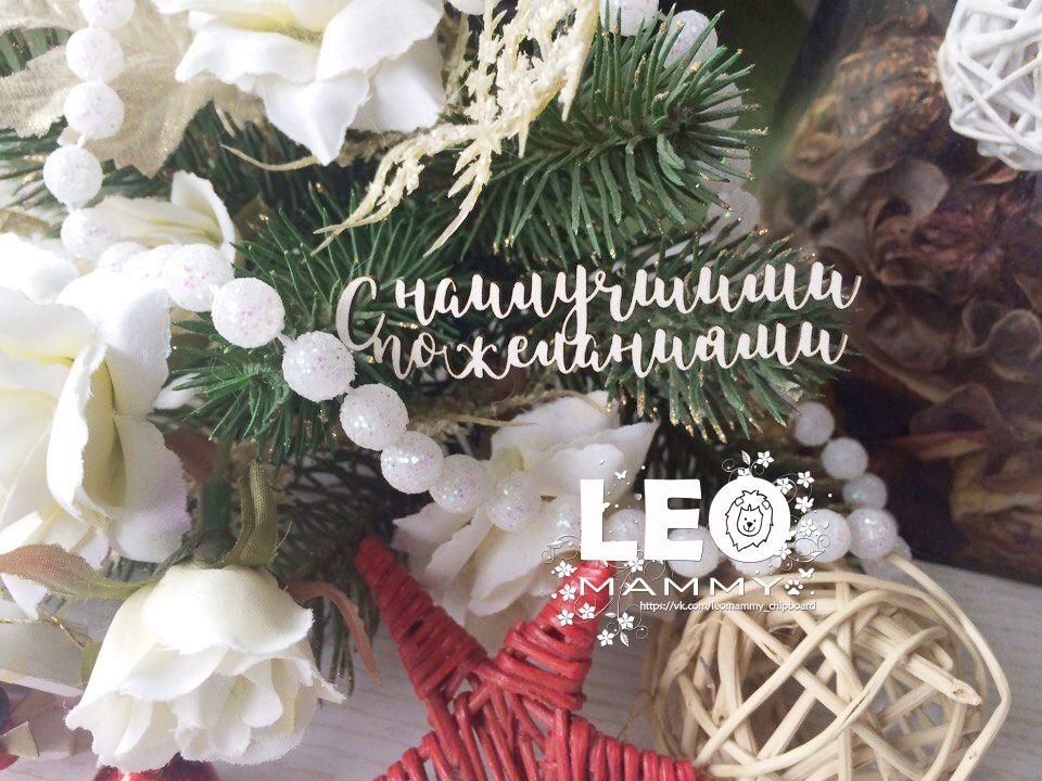 Чипборд LeoMAMMY "Надпись С наилучшими пожеланиями"
