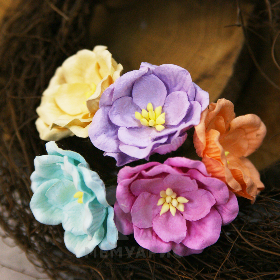 Букет магнолий 3,5 см, цвет пастельный микс