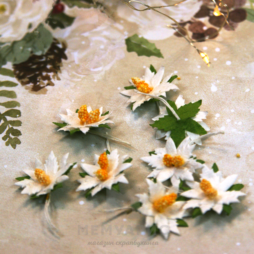 Цветок пуансетии 3 см объёмный, цвет белый