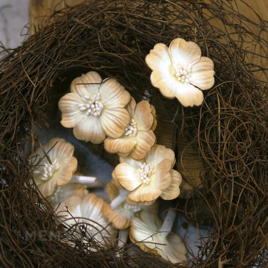 Цветок примулы, цвет винтажный бежевый