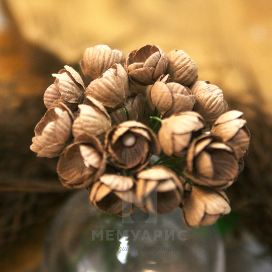 Букет лютиков 1,6 см, 5 шт, цвет шоколад