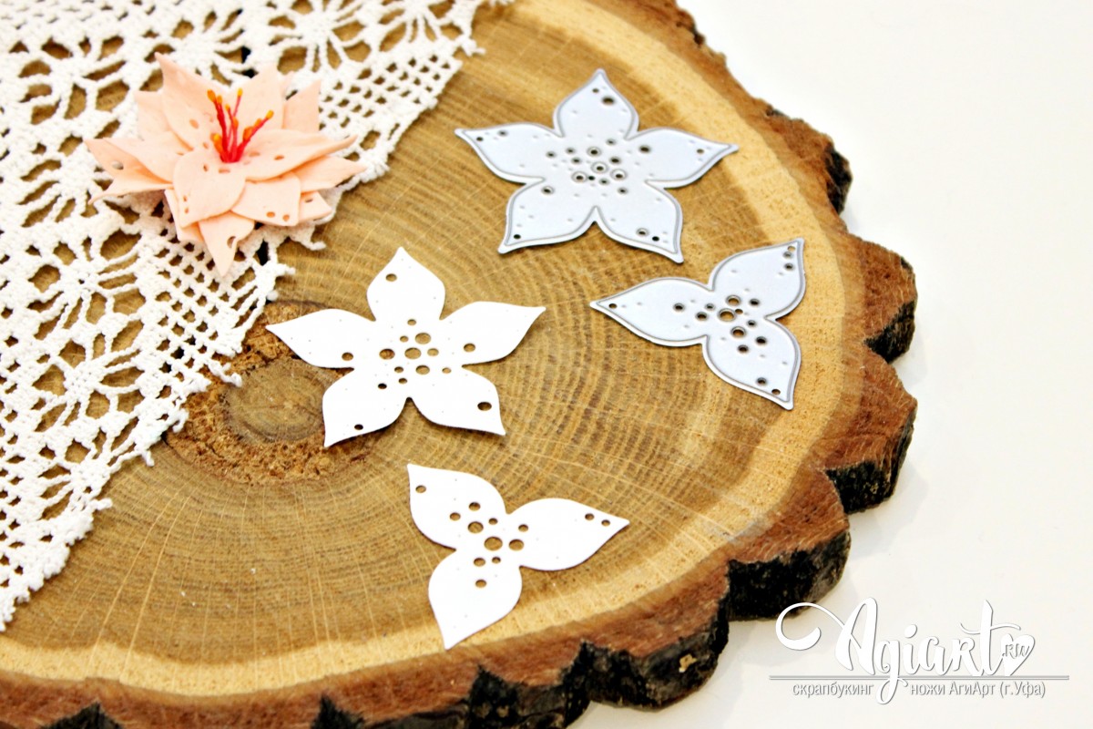 Нож для вырубки Agiart "Набор южных цветов"