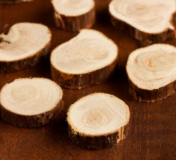 Набор спилов можжевельника, диаметр 2-4 см, 10 шт