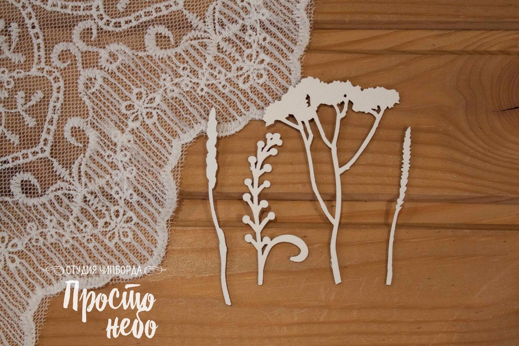 Чипборд Просто Небо. "Сухоцветы"