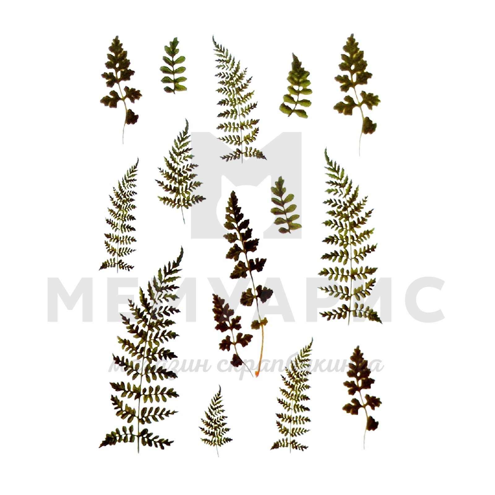 Наклейки на прозрачной основе"Папоротник"