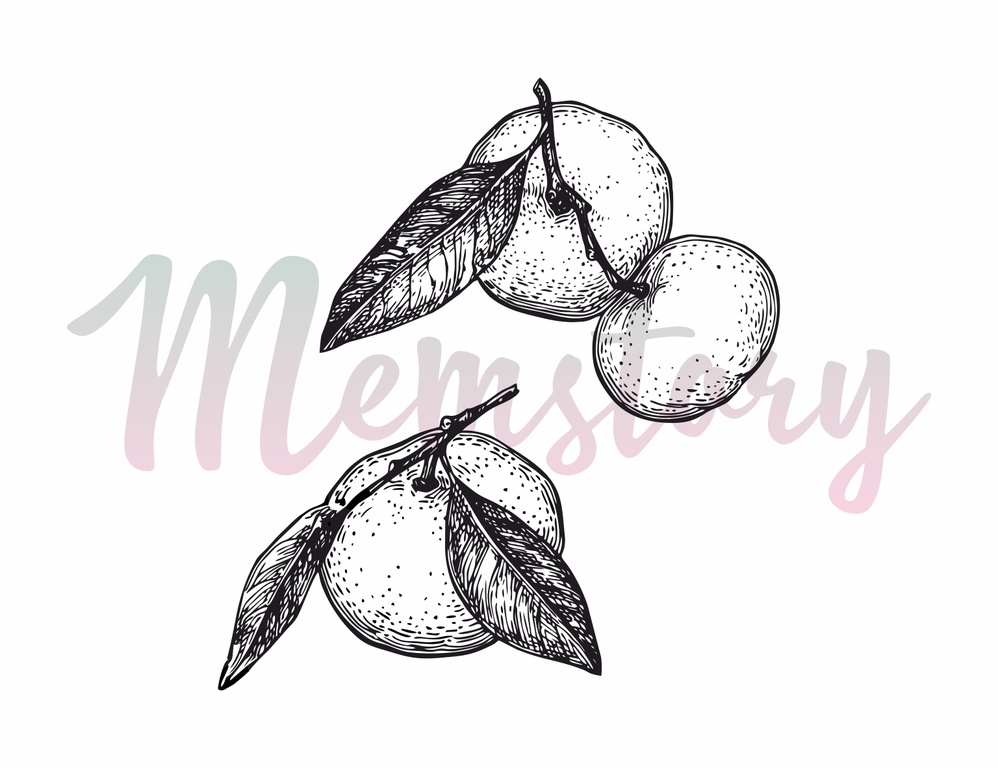 Штамп Memstory "Мандарины"