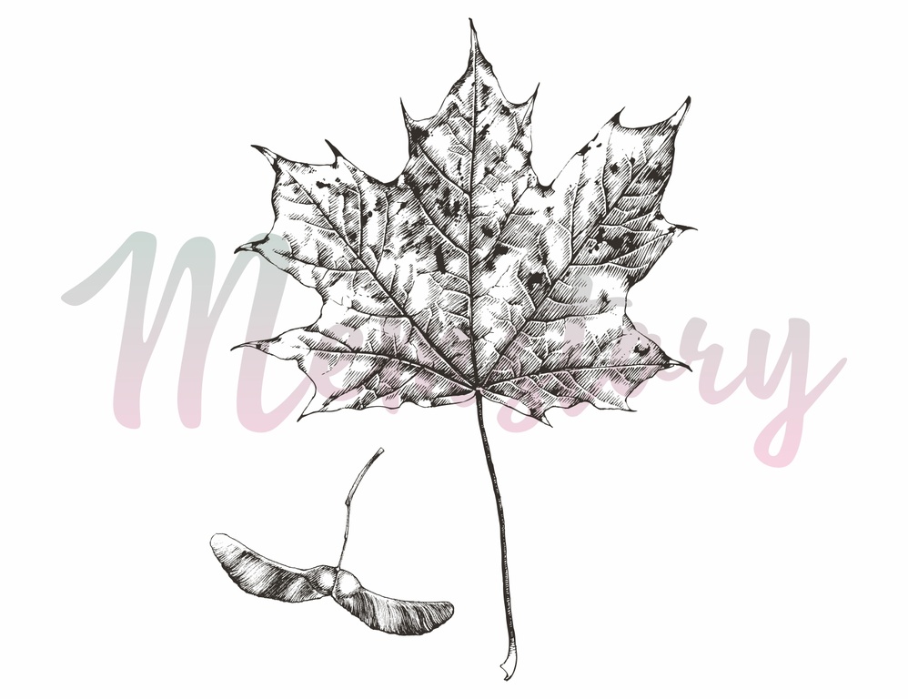 Штамп Memstory "Кленовый лист"