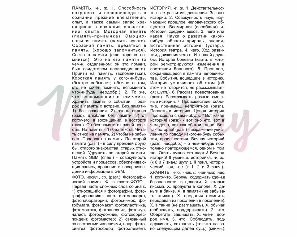 Штамп Memstory "Словарь"