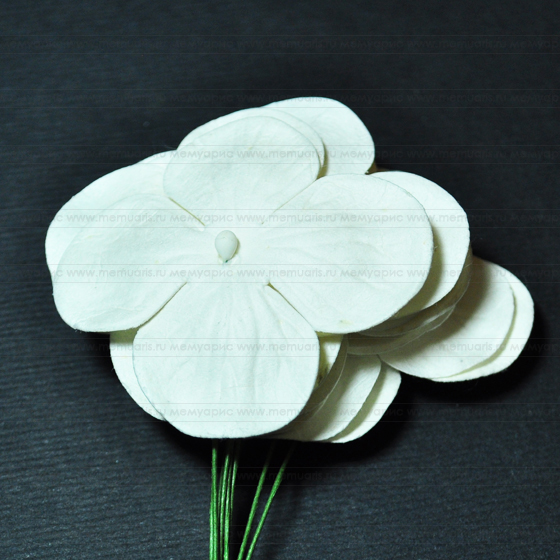 Букет гортензий 10 шт. Цвет белый