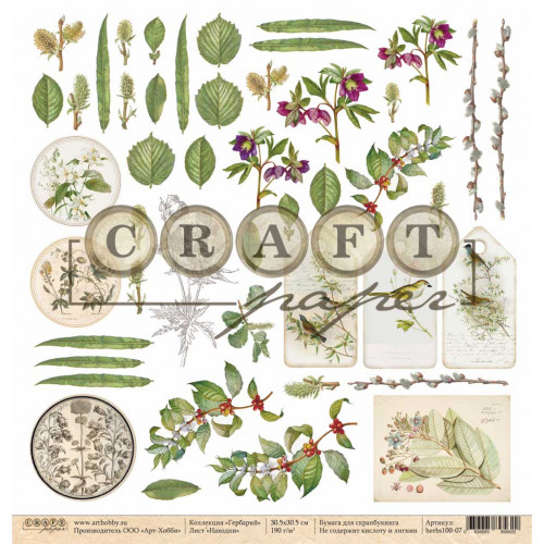 Бумага для скрапбукинга CraftPaper "Гербарий" Находки (CP238)