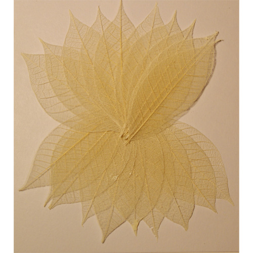 Скелетированные листочки 20 шт. Цвет металлический белый.