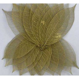 Скелетированные листочки 20 шт. Цвет золотой.