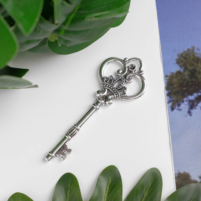 Декор металлический "Королевский ключ" цвет серебряный (567)