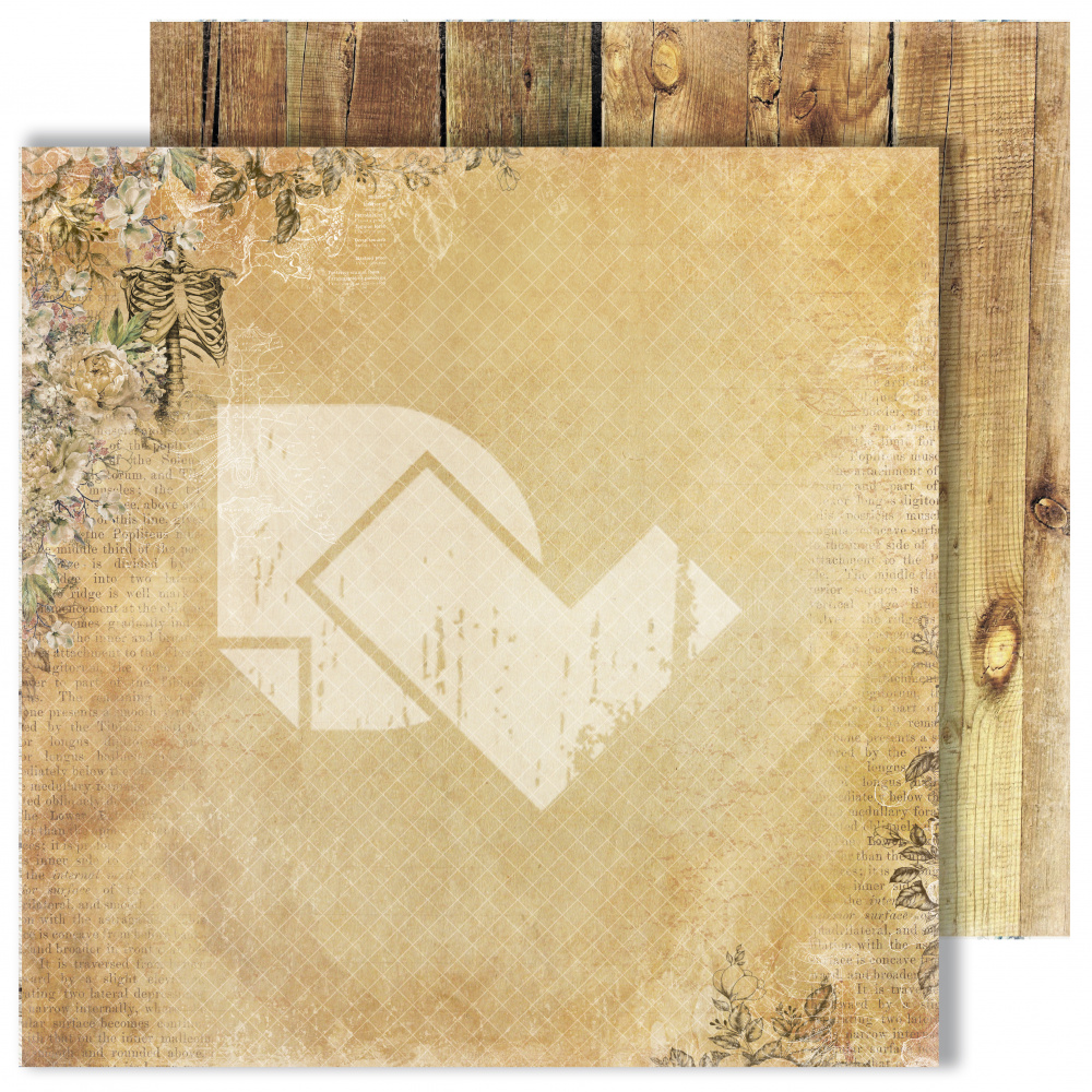 Бумага Dream Light Studio "Homo sapiens" Доски (DL14)