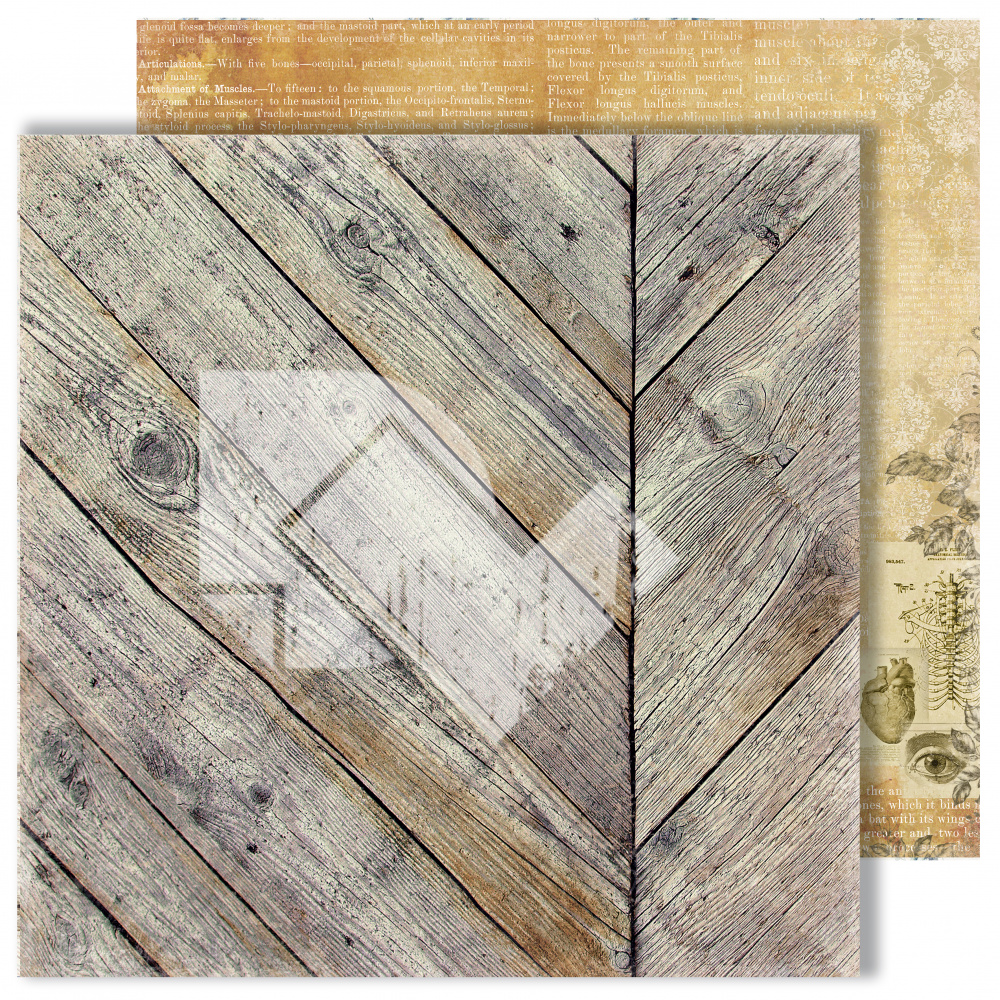 Бумага Dream Light Studio "Homo sapiens" Тайные знания (DL15)