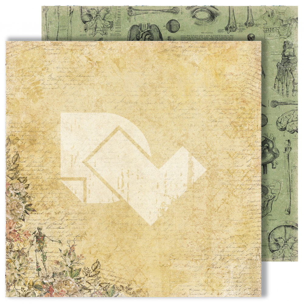 Бумага Dream Light Studio "Homo sapiens" Рентген (DL16)