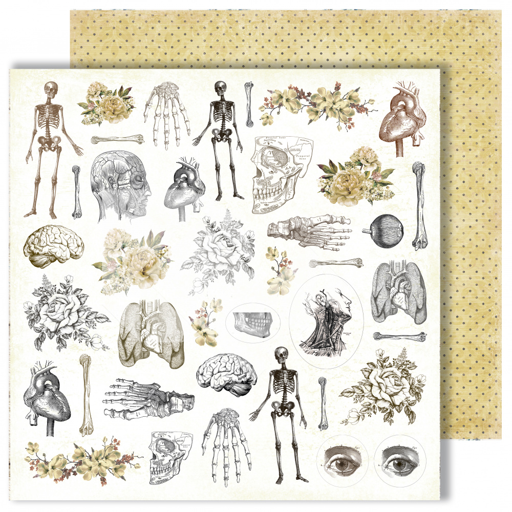 Бумага Dream Light Studio "Homo sapiens" Цветы (DL18)