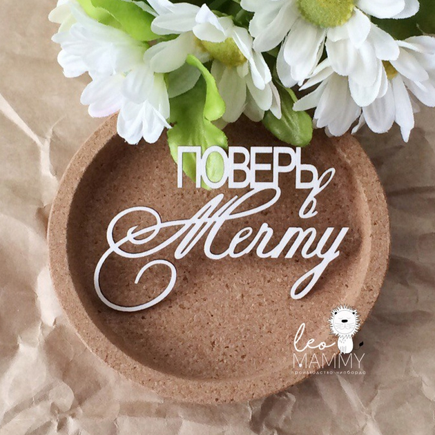 Чипборд LeoMAMMY "Надпись Поверь в мечту"